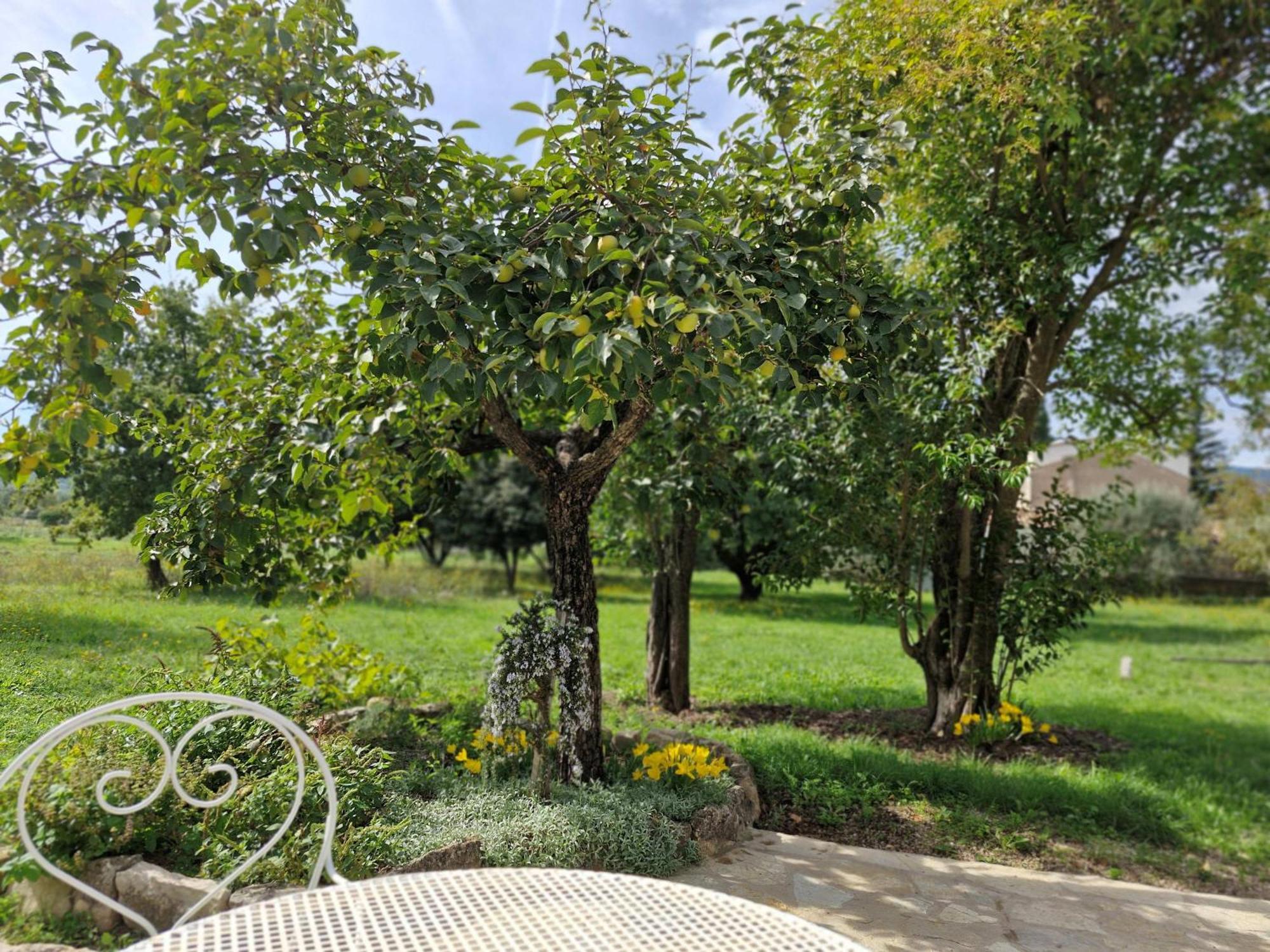 La Bastideta, Apartment ฟายองซ์ ภายนอก รูปภาพ